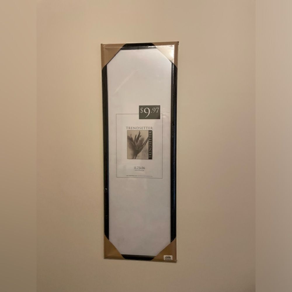 NEW Trendsetter Poster Frame Landscape or Portrait 11.75” x 36”
